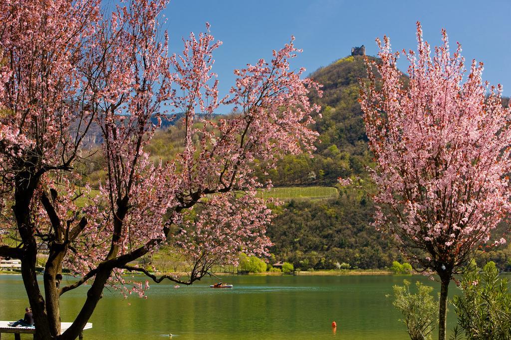 Seegarten Caldaro Dış mekan fotoğraf
