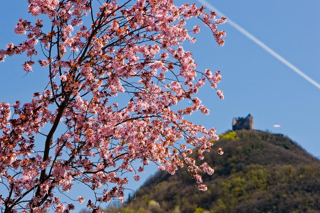 Seegarten Caldaro Dış mekan fotoğraf