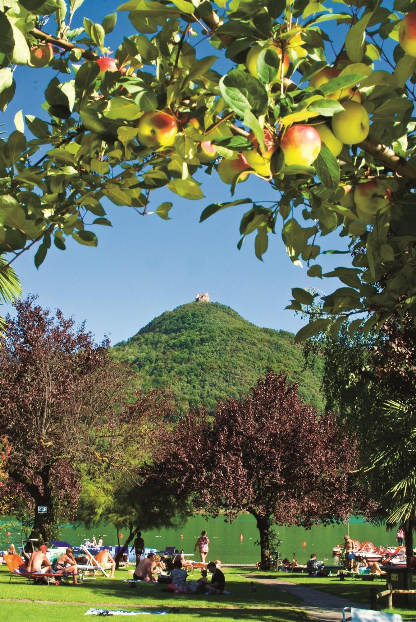 Seegarten Caldaro Dış mekan fotoğraf